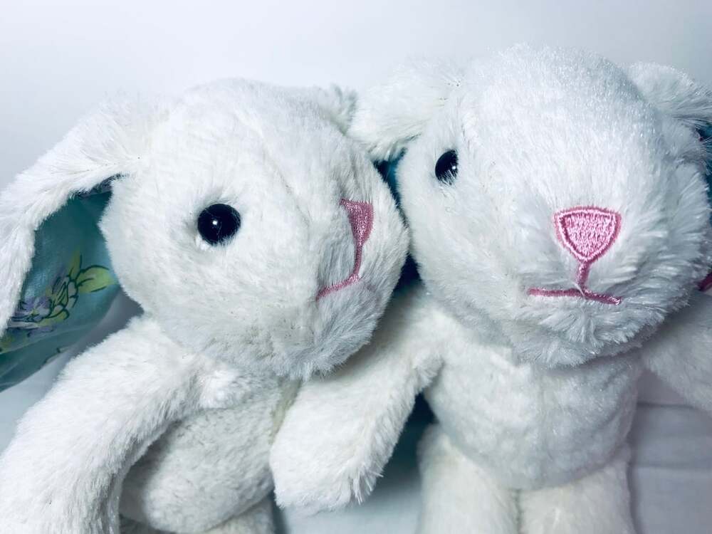 Walmart White Rabbit Twin Easter Bunnies flower ears plush